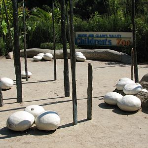 Childrens Zoo - Entry Plaza