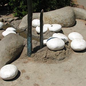 Childrens Zoo - Simulated Snake and Eggs