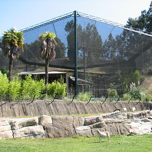 Childrens Zoo - Malayan and Island Flying Foxes Exhibit - Exterior
