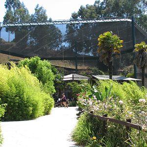 Childrens Zoo - Malayan and Island Flying Foxes Exhibit - Exterior