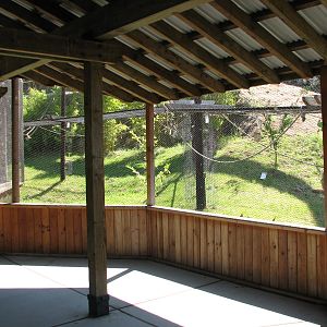 Childrens Zoo - Malayan and Island Flying Foxes Exhibit - Viewing Area