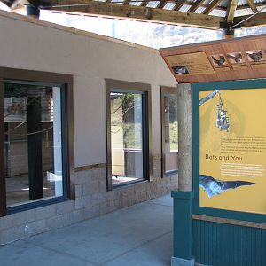 Childrens Zoo - Malayan and Island Flying Foxes Exhibit - Bedrooms