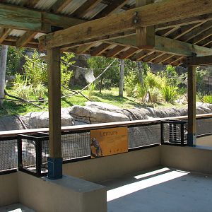 Childrens Zoo - Ring-tailed and Blue-eyed Black Lemurs Exhibit - Viewing Ar