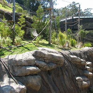 Childrens Zoo - Ring-tailed and Blue-eyed Black Lemurs Exhibit
