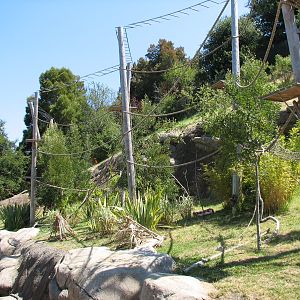 Childrens Zoo - Ring-tailed and Blue-eyed Black Lemurs Exhibit