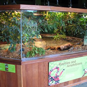 Childrens Zoo - Reptile and Amphibian House - North American Southeast Exhi