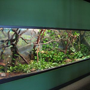 Childrens Zoo - Reptile and Amphibian House - South American Exhibit