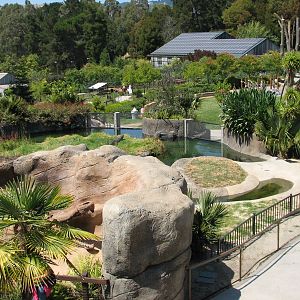 Childrens Zoo - American Alligator Exhibit - Overview
