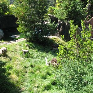 Childrens Zoo - River Otter Exhibit