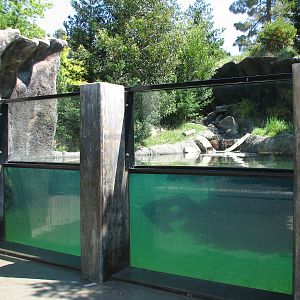 Childrens Zoo - River Otter Exhibit - Underwater Viewing Area