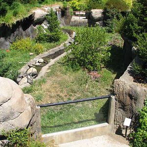 Childrens Zoo - River Otter Exhibit