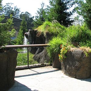 Childrens Zoo - River Otter Exhibit - Viewing Area
