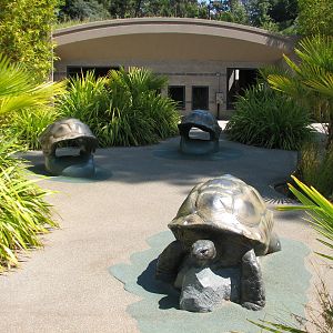 Childrens Zoo - Aldabra Tortoise Exhibit - Play Area
