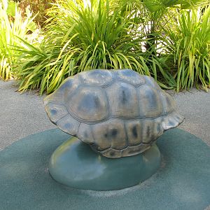Childrens Zoo - Aldabra Tortoise Exhibit - Play Area