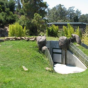 Childrens Zoo - Aldabra Tortoise Exhibit