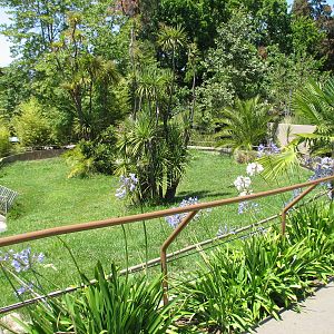 Childrens Zoo - Aldabra Tortoise Exhibit