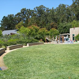Childrens Zoo - Central Lawn
