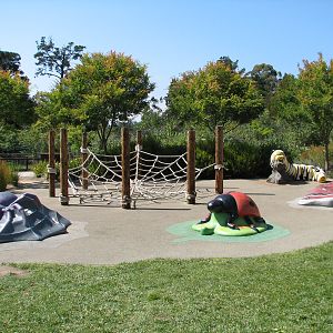 Childrens Zoo - Bug Play Area