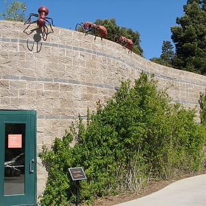 Childrens Zoo - House of Bugs - Exterior