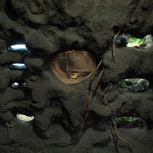 Childrens Zoo - House of Bugs - First Panel Exhibits