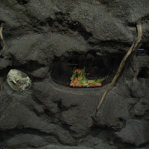 Childrens Zoo - House of Bugs - Second Panel Exhibits