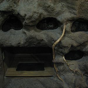 Childrens Zoo - House of Bugs - Third Panel Exhibits