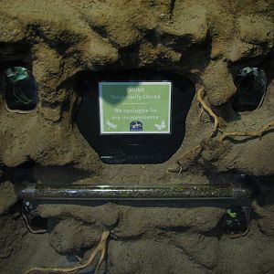 Childrens Zoo - House of Bugs - Fourth Panel Exhibits