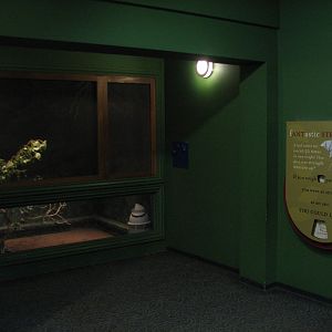 Childrens Zoo - House of Bugs - Leafcutter Ant Room Exhibit