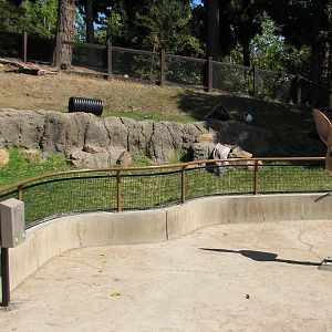 Childrens Zoo - Rabbit Exhibit