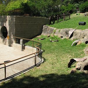 Childrens Zoo - Rabbit Exhibit