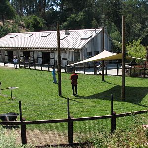 Childrens Zoo - Goat and Sheep Contact Yard