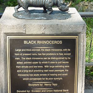 Black Rhino Statue