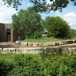 Reticulated Giraffe Enclosure