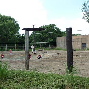 African Elephant Enclosure