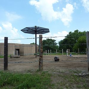 African Elephant Enclosure