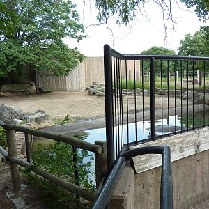 Nile Hippo Enclosure