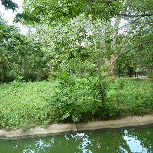 Bontebok/Abyssinian Ground Hornbill Enclosure