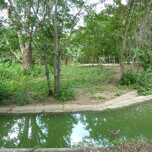 Bontebok/Abyssinian Ground Hornbill Enclosure