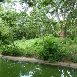 Bontebok/Abyssinian Ground Hornbill Enclosure