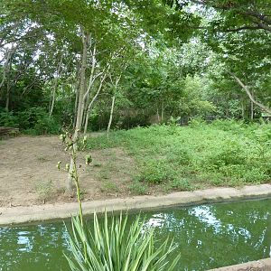 Bontebok/Abyssinian Ground Hornbill Enclosure