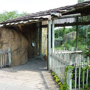 Pride Of The Plains - Lion Exhibit Viewing Windows