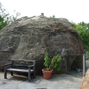 Pride Of The Plains - Meerkat Exhibit