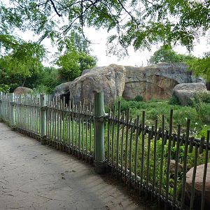 Pride Of The Plains - Lion Exhibit Viewing Area