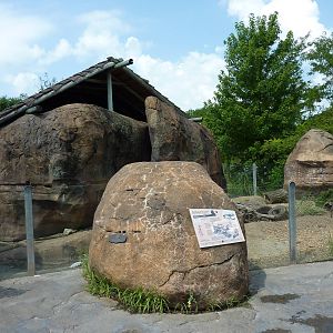 Pride Of The Plains - Meerkat Exhibit