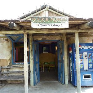 Pride Of The Plains - African Shop