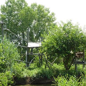 Ring-Tailed Lemur Exhibit