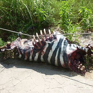 Pride Of The Plains - Visitor Pathway