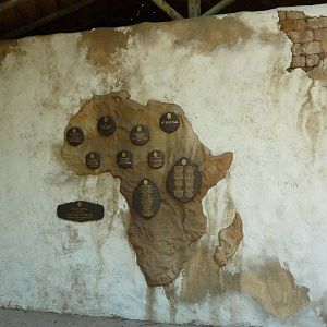 Pride Of The Plains - African Mural