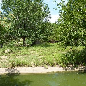 Slender-Horned Gazelle/Warthog Enclosure