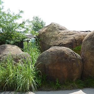 Pride Of The Plains - Exit Kopje